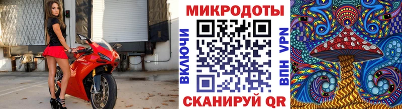 Псилоцибиновые грибы MAGIC MUSHROOMS  блэк спрут зеркало  Новотитаровская  купить  сайты 